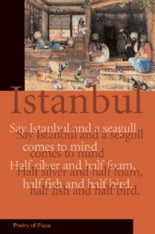 Kniha Istanbul Ates Orga