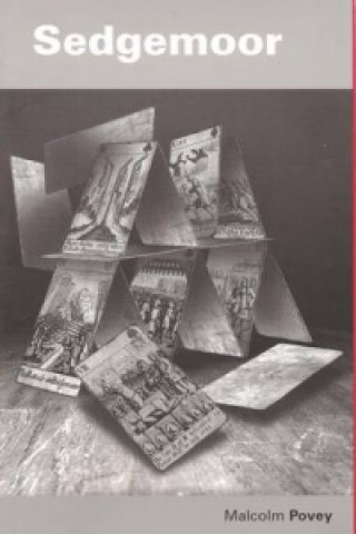 Book Sedgemoor Malcolm Povey