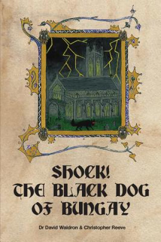 Książka Shock! The Black Dog of Bungay David Waldron