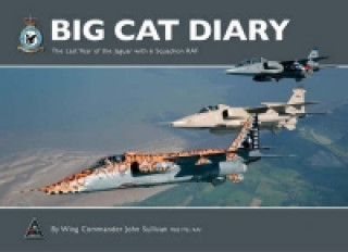 Kniha Big Cat Diary John Sullivan