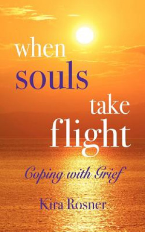 Kniha When Souls Take Flight Kira Rosner