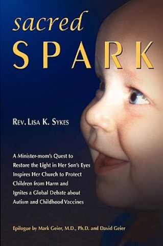 Knjiga Sacred Spark Lisa K Sykes