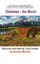 Könyv Diabetes - No More! Andreas Moritz