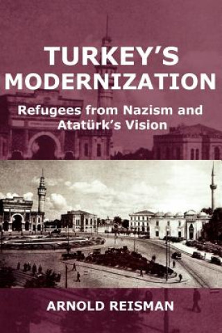 Buch Turkey's Modernization Arnold Reisman