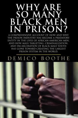 Kniha Why Are So Many Black Men In Prison? Demico