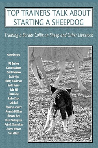 Книга Top Trainers Talk About Starting a Sheepdog Sally Molloy