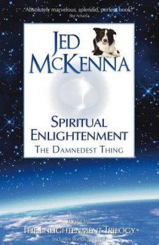 Book Spiritual Enlightenment Jed McKenna