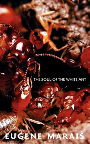 Kniha Soul of the White Ant Eugene N Marais