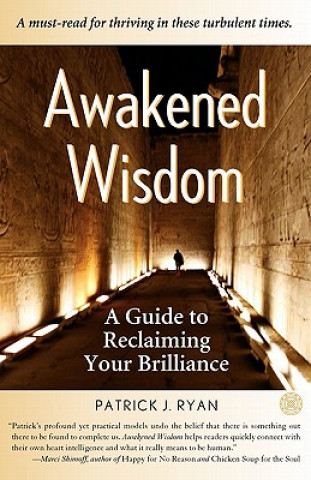 Könyv Awakened Wisdom Patrick Ryan
