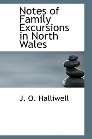 Kniha Notes of Family Excursions in North Wales J. O. Halliwell