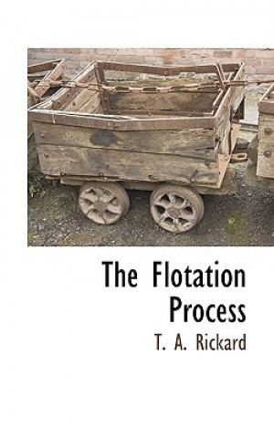 Könyv Flotation Process T. A. Rickard