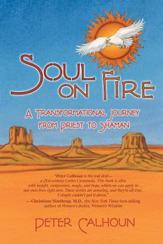 Kniha Soul On Fire Peter Calhoun