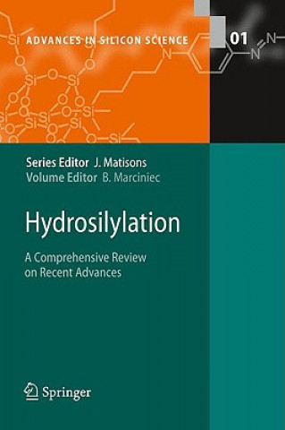 Kniha Hydrosilylation Bogdan Marciniec
