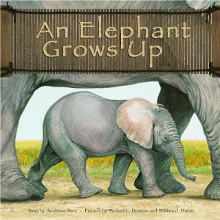 Kniha Elephant Grows Up Anastasia Suen