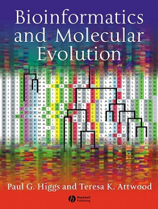 Könyv Bioinformatics and Molecular Evolution Higgs