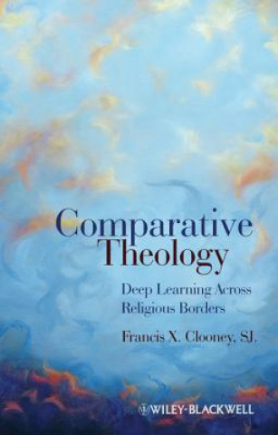 Buch Comparative Theology Clooney