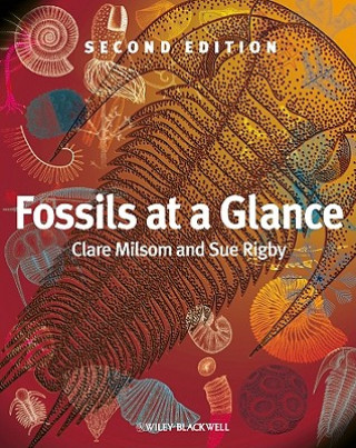 Kniha Fossils at a Glance Clare Milsom