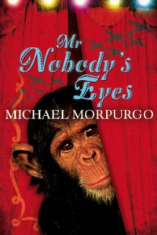 Kniha Mr Nobody's Eyes Michael Morpurgo