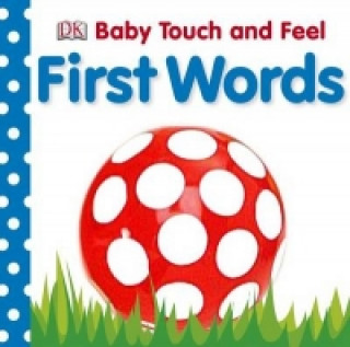 Book Baby Touch and Feel First Words DK