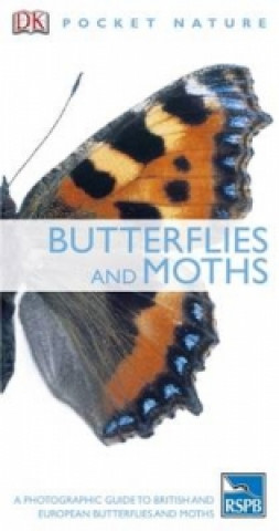 Kniha Butterflies and Moths DK