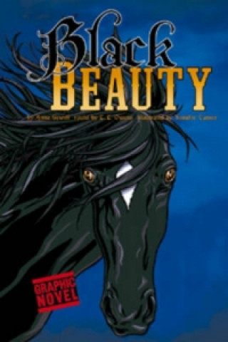 Kniha Black Beauty L Owens