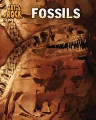Książka Fossils Louise Spilsbury