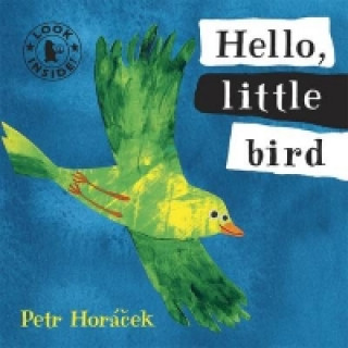 Książka Hello, Little Bird Petr Horáček