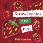 Carte Strawberries Are Red Petr Horáček