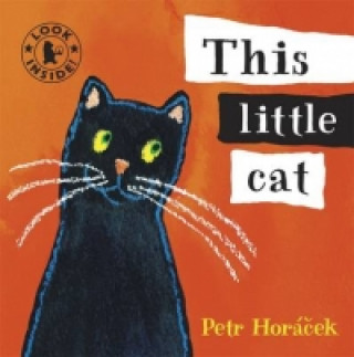 Książka This Little Cat Petr Horáček