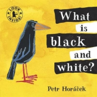 Książka What Is Black and White? Petr Horacek