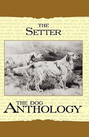 Book Setter - A Dog Anthology (A Vintage Dog Books Breed Classic) Various