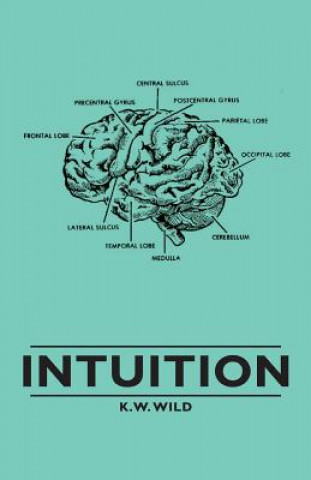Kniha Intuition K.W.