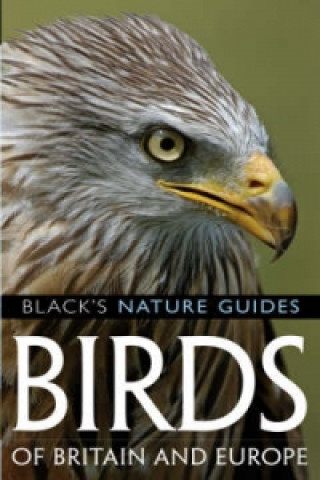 Kniha Birds of Britain and Europe Volker Dierschke
