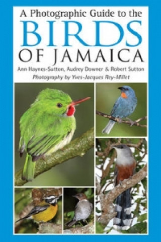 Könyv Photographic Guide to the Birds of Jamaica Audrey Downer