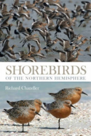 Könyv Shorebirds of the Northern Hemisphere Richard Chandler