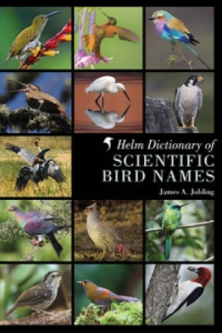 Kniha Helm Dictionary of Scientific Bird Names James A Jobling