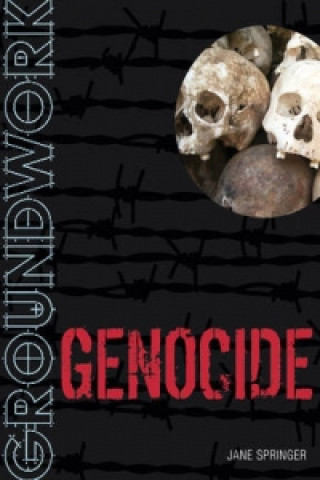 Kniha Groundwork Genocide Jane Springer