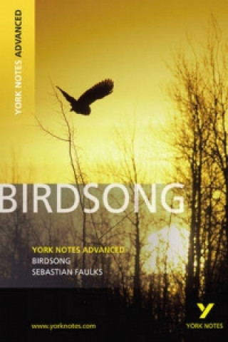 Kniha Birdsong: York Notes Advanced Sebastian Faulks