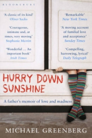 Książka Hurry Down Sunshine Michael Greenberg