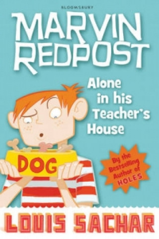 Könyv Alone in His Teacher's House Louis Sachar