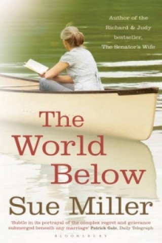 Kniha World Below Sue Miller