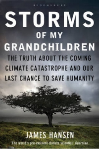 Könyv Storms of My Grandchildren James Hansen