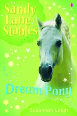 Carte Dream Pony Susannah Leigh
