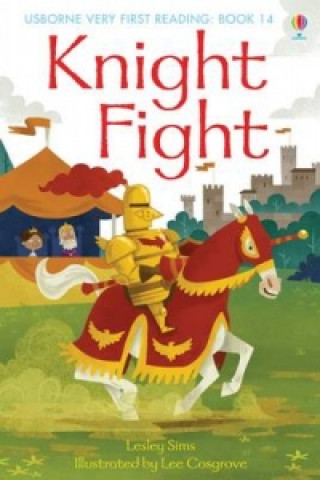 Książka Knight Fight Lesley Sims