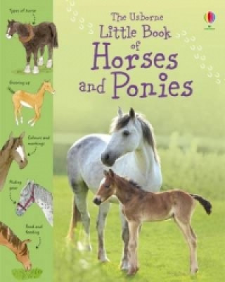 Kniha Little Book of Horses and Ponies Sarah Kahn