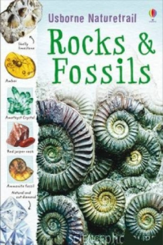 Carte Rocks and Fossils Struan Reid