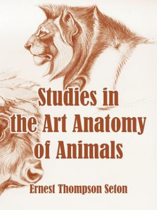 Carte Studies in the Art Anatomy of Animals Ernest