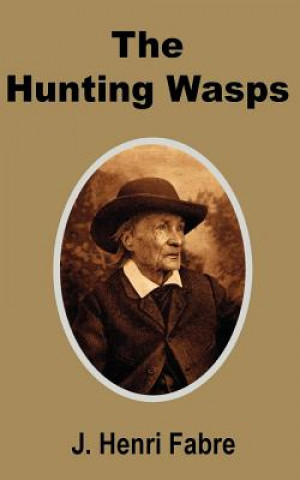 Buch Hunting Wasps J. Henri Fabre