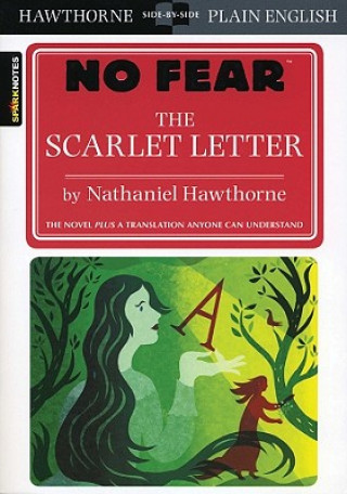 Kniha Scarlet Letter Sparknotes