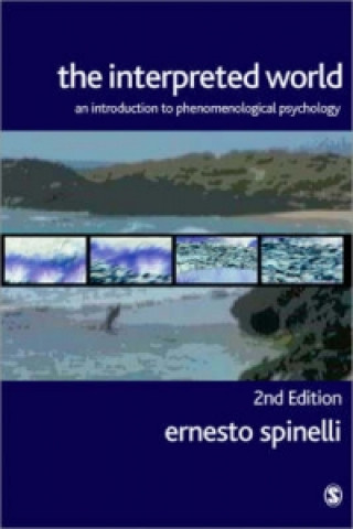Könyv Interpreted World Ernesto Spinelli